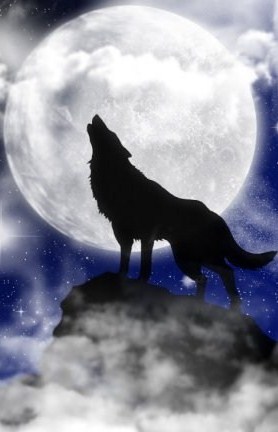 ����� - ���� �����