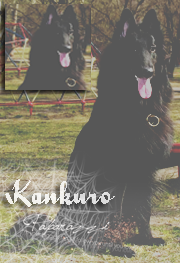 .Kankuro