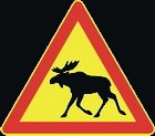 ELK