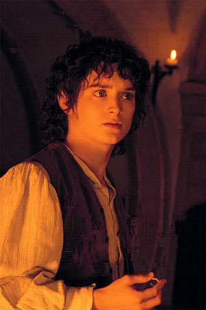 FRODO))