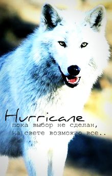 Hurricane