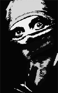 Smoke Ninja