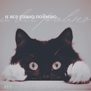 ׸���� �����