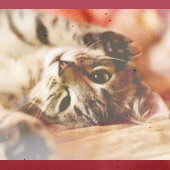 �������