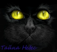 ����� �����