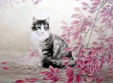 ����������