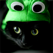 �������