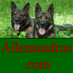 Allemandrus