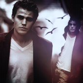 Stefan Salvatore