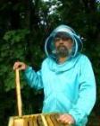 beekeeper