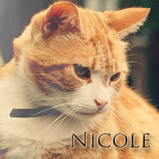 Nicole