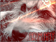.armany