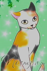 ϸ����������