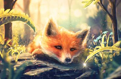 FOX