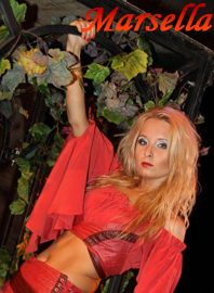 �������� ���������