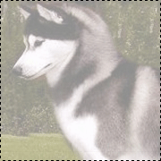 ����������� ������