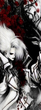 ���� ��������