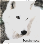 `tenderness