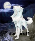 White_Wolf