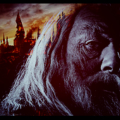 Albus Dumbledore