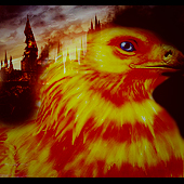 Fawkes