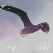 PR