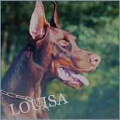 Louisa