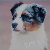 Tina