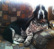 ������-���