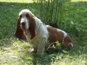 ������� �����