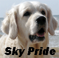 skypride