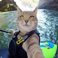 �������