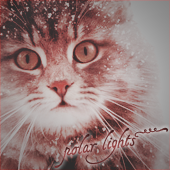 polar lights~