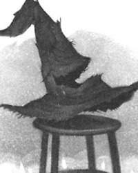 �������������� �����