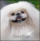 Savelina