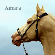 Amara