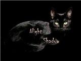 Night Shadow