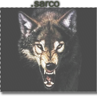 .sarco