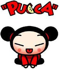 Pucca