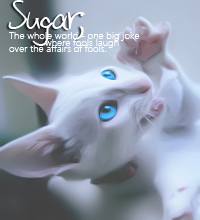 Sugarkit'