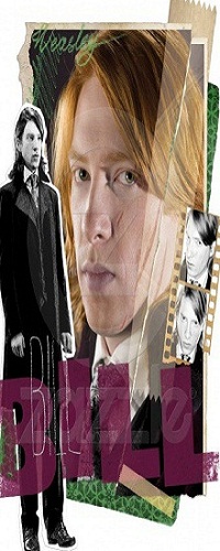 Bill Weasley