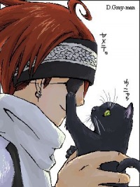 Lavi