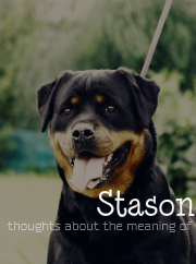 Stason