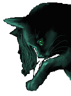 Hollyleaf Star