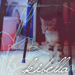 kibella;