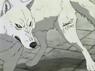 White fang