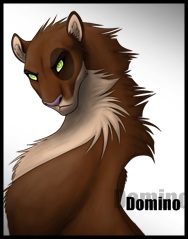 Domino