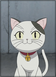 |����������