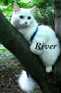 River