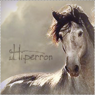 Hiperron